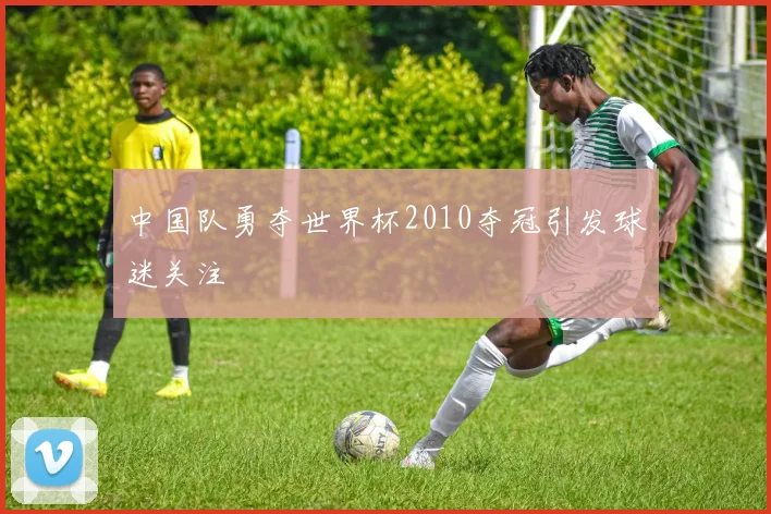 中国队勇夺世界杯2010夺冠引发球迷关注