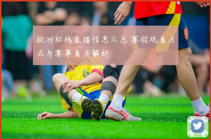 欧洲杯线直播信息汇总 赛程观看方式与赛事看点解析