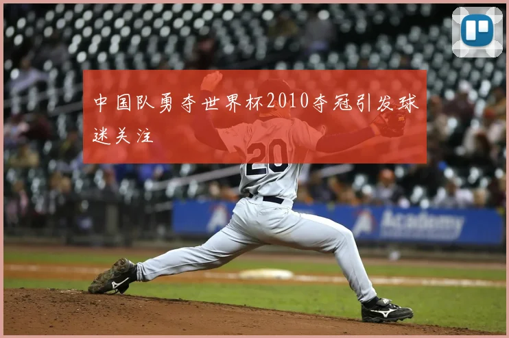 中国队勇夺世界杯2010夺冠引发球迷关注