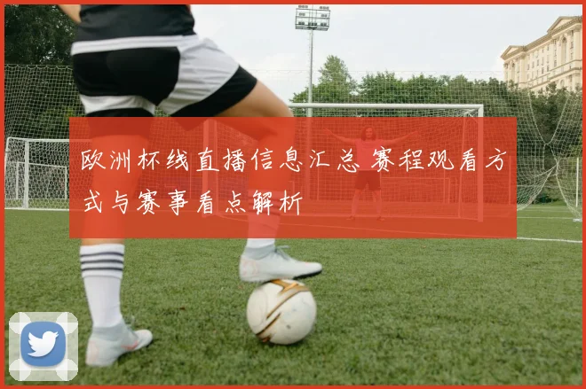 欧洲杯线直播信息汇总 赛程观看方式与赛事看点解析