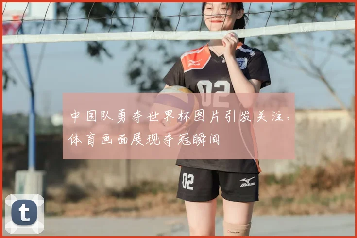 中国队勇夺世界杯图片引发关注,体育画面展现夺冠瞬间