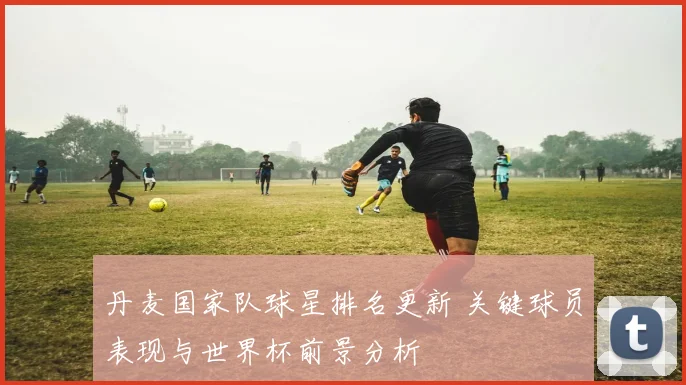 丹麦国家队球星排名更新 关键球员表现与世界杯前景分析