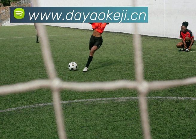 开云官方登陆入口平台生态图